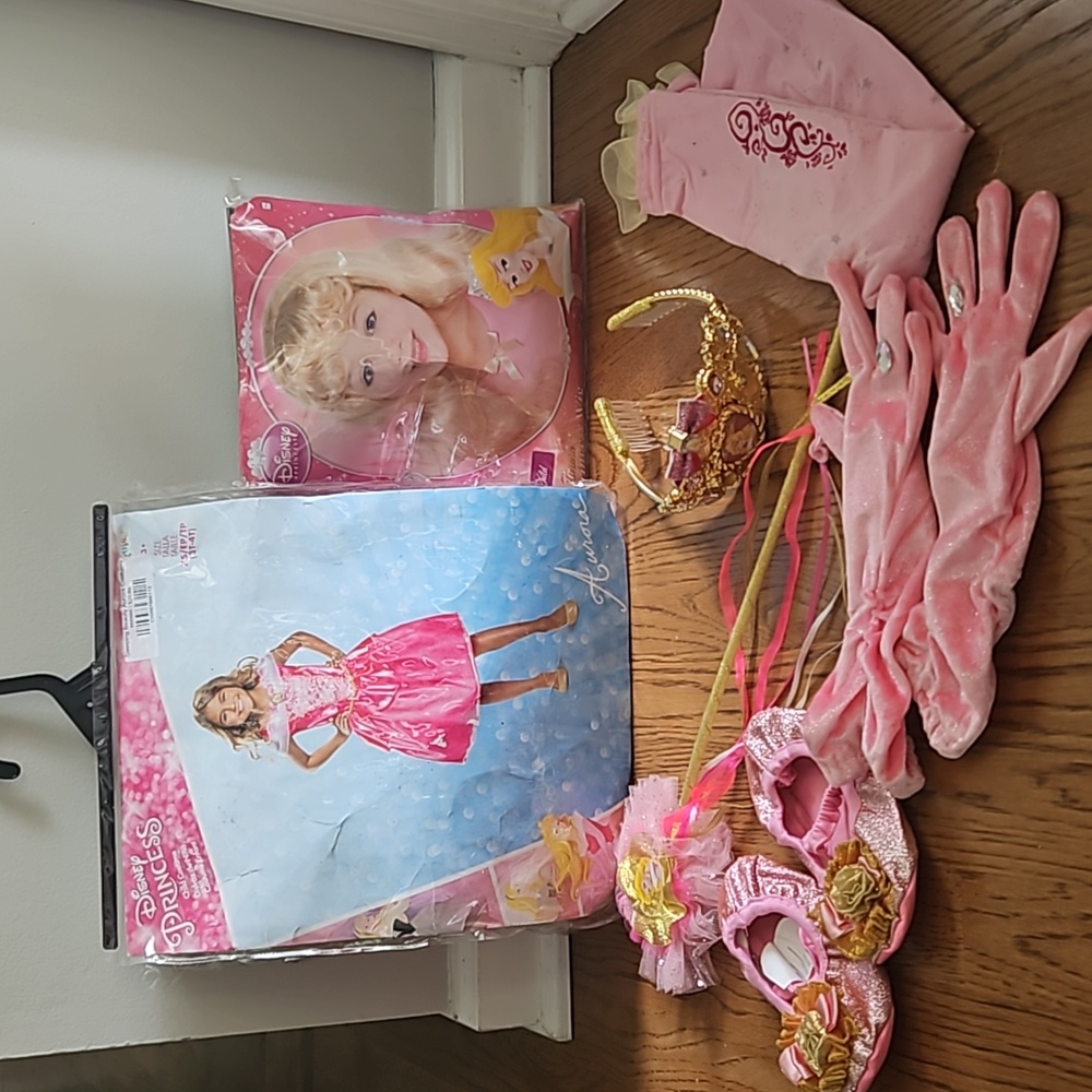 Disney Princess Aurora Costume with extras.  Size XS (3T-4T)